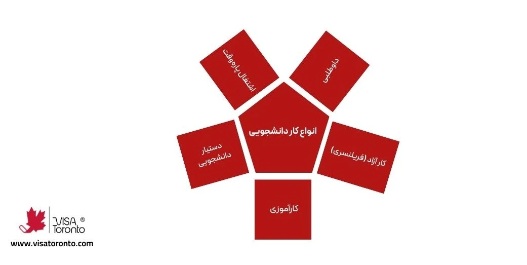انواع کار دانشجویی