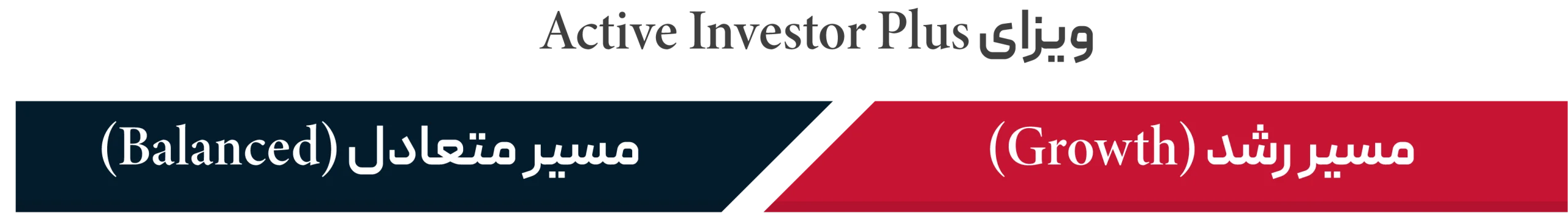 Active Investor Plus
