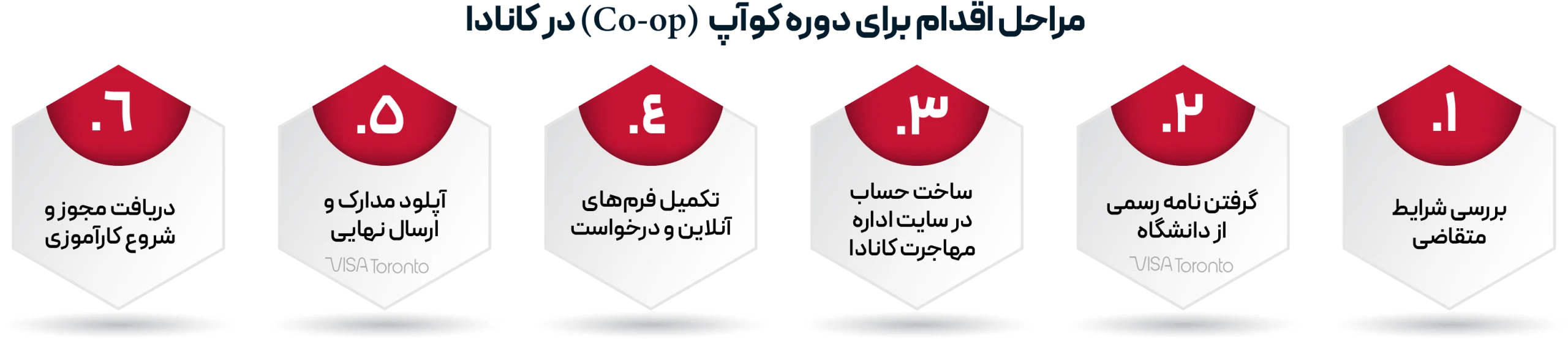 مراحل دوره کوآپ