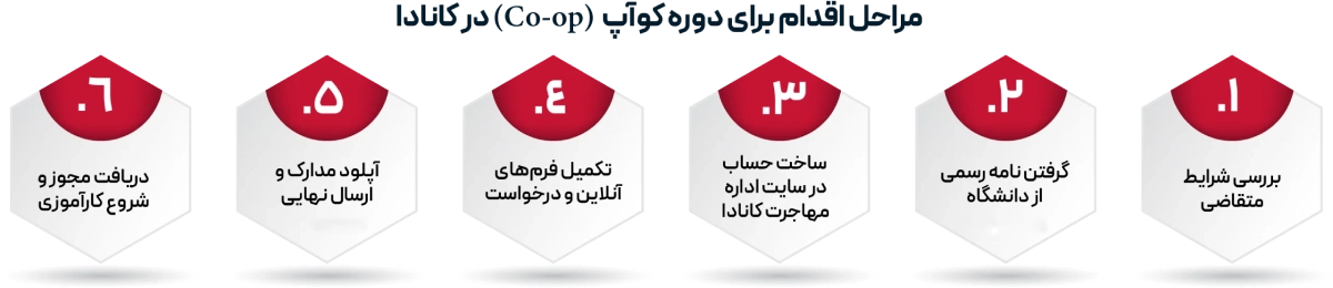 Steps to get a co-op work permit in Canada