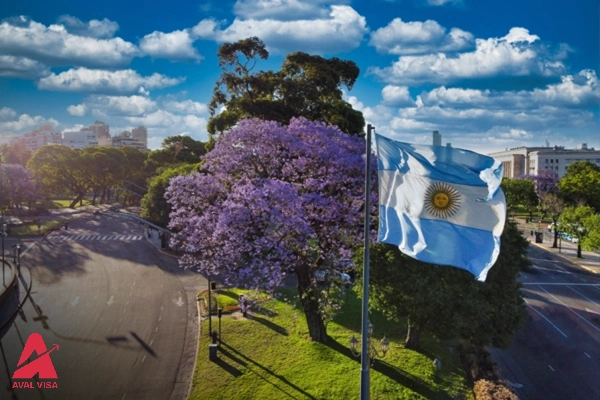 Argentine passport through investment