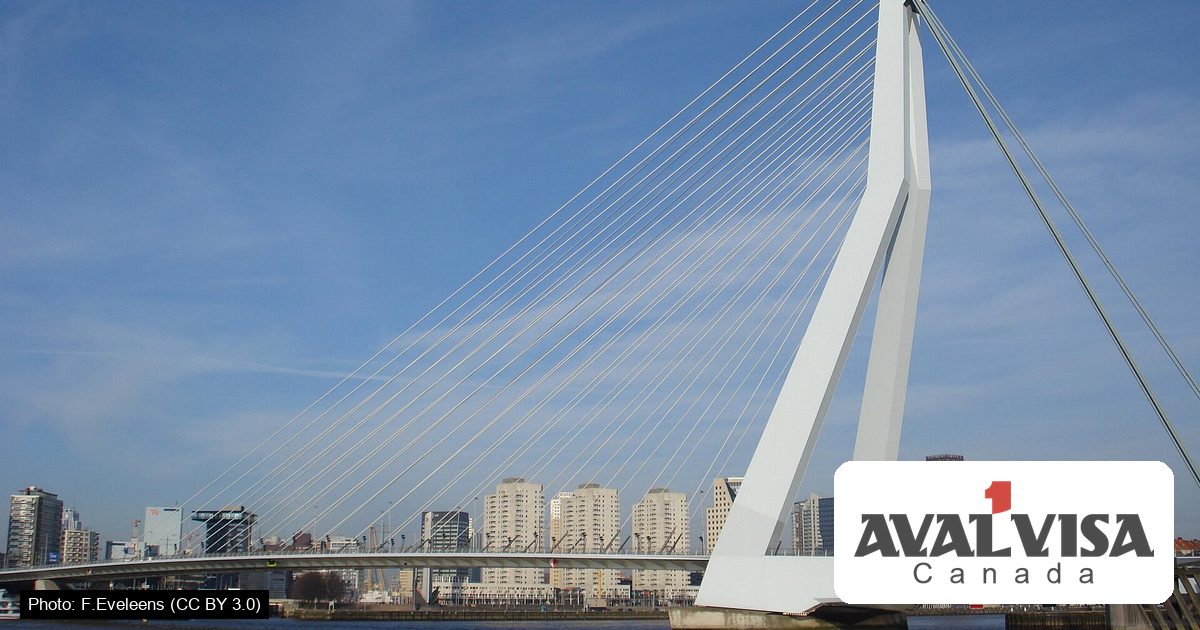 Netherlands Work Visa: Complete Guide to the Dutch Work Permit