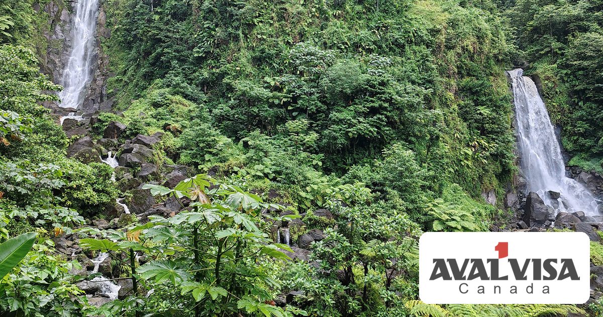 Dominica Citizenship by Investment