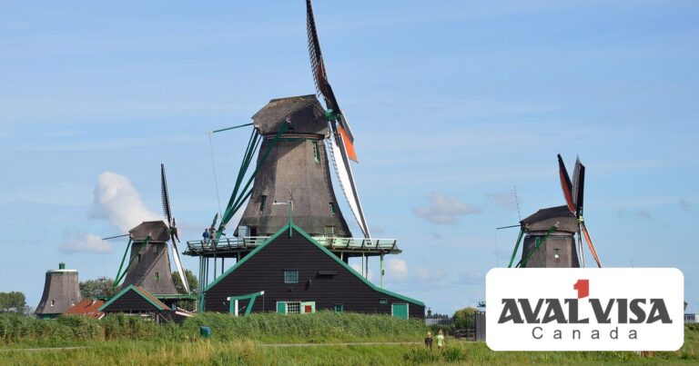 Working in the Netherlands on an EU Blue Card